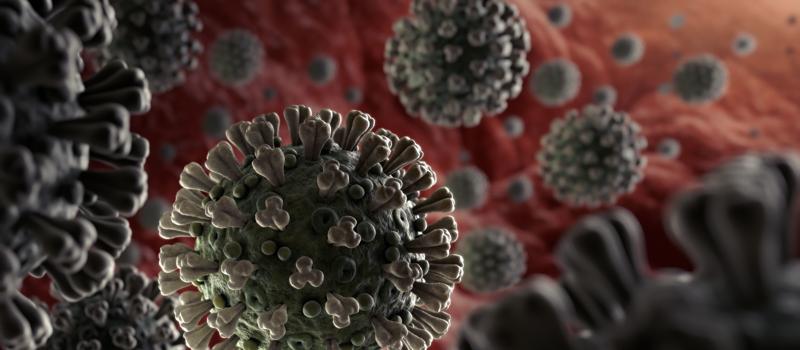 Why Mosquitoes Don't Carry Covid-19
