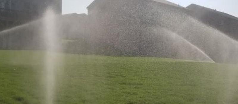 How Can Overwatering Your Lawn Create A Mosquito Population Boom?