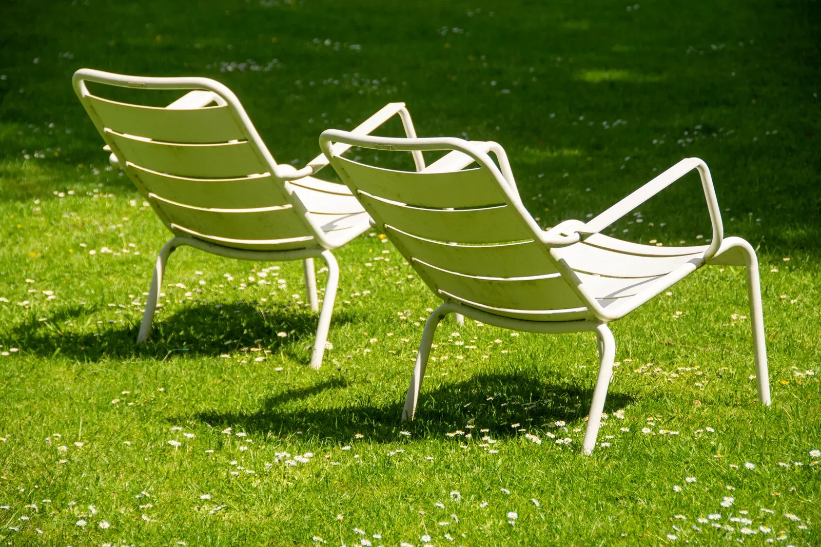 Two empty lounge chairs on a sunny green Cape Cod lawn
