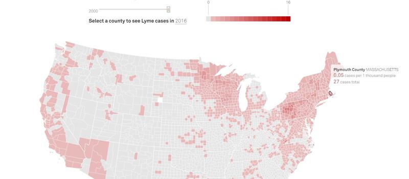 Lyme Numbers in Massachusetts Are Actually Decreasing