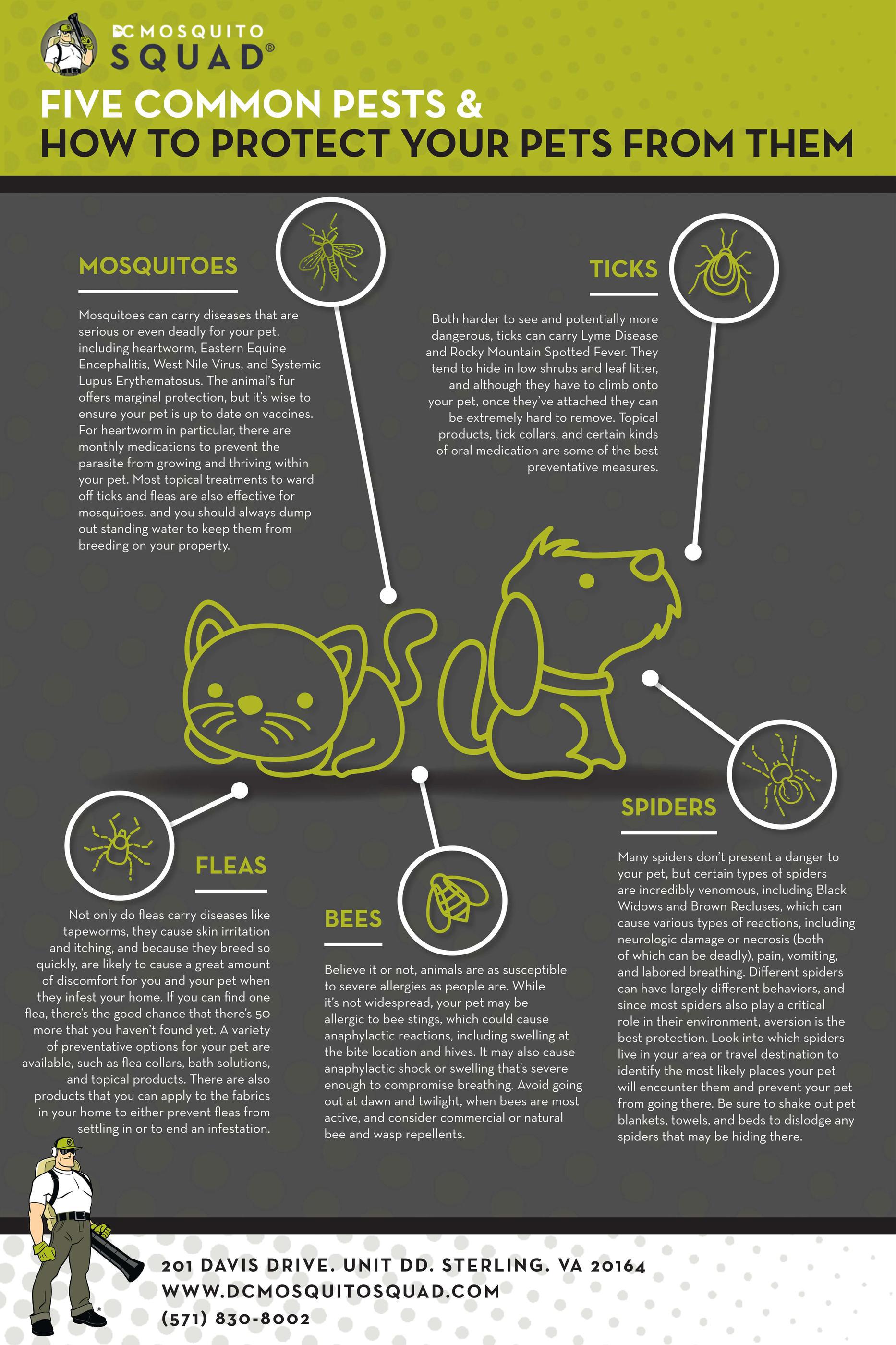 Infographic: 5 Common Pests & How To Protect Your Pets From Them