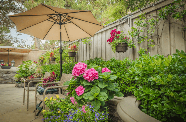 backyard patio with plants