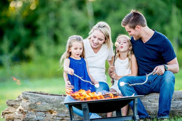 Family Safety First: Mosquito Protection for Homes with Kids and Pets