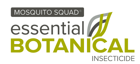 Introducing Mosquito Squad EBI