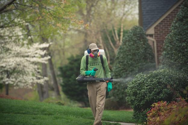 Mosquito Fogging Services in Dallas: What You Need to Know
