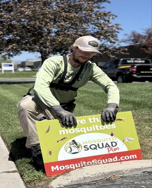 Why Mosquitoes Keep Coming Back in Utah (and How to Finally Win)