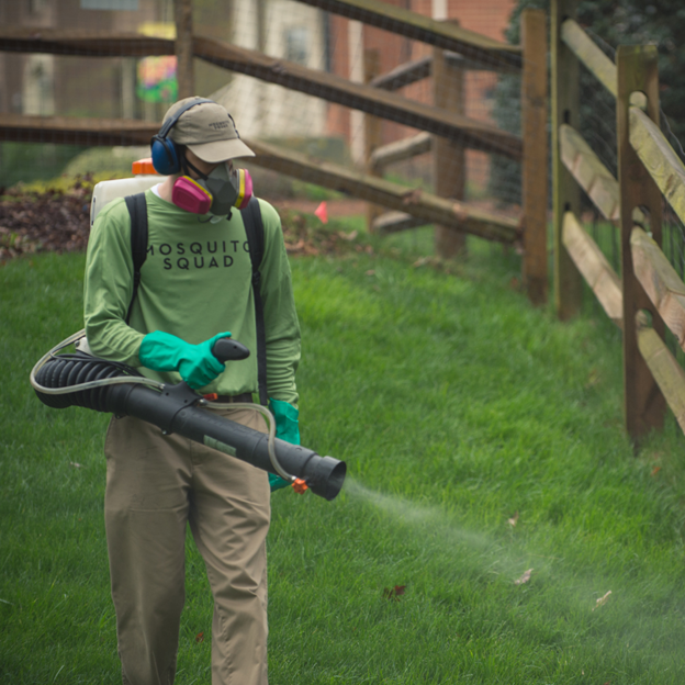 Helping You Enjoy the Outdoors with Mosquito Squad of Dallas