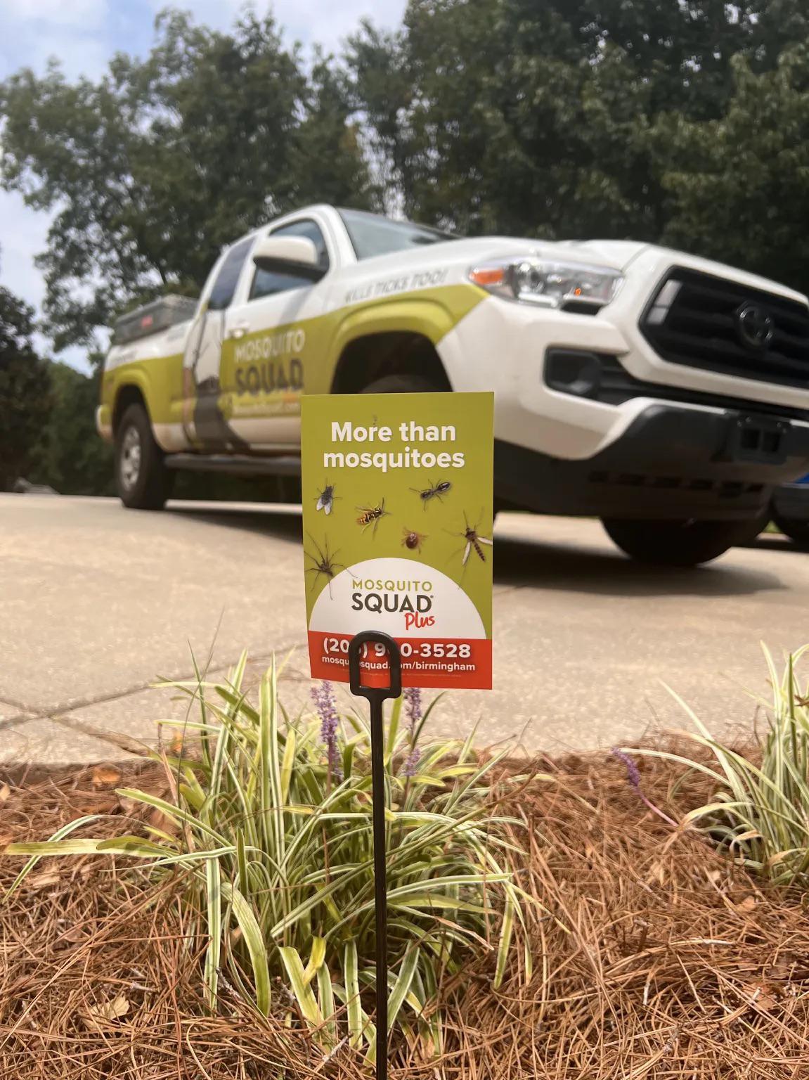 Why the Can of Ant Spray in Your Garage Can Work Against Your Vestavia Hills Treatment