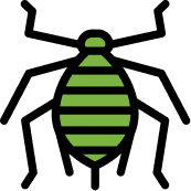 Aphid icon