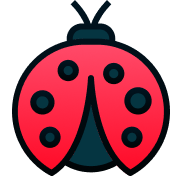Asian Beetle icon