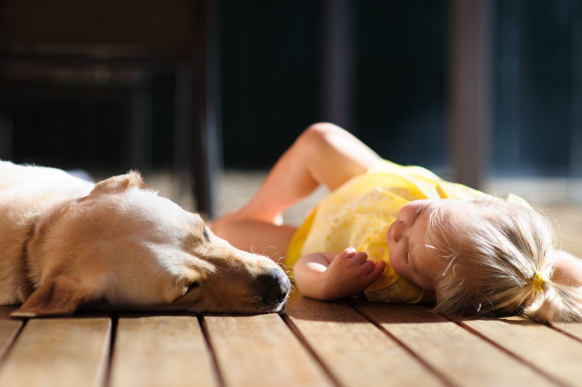 Dog and girl laying on a deckAtlanta Natural Mosquito Control