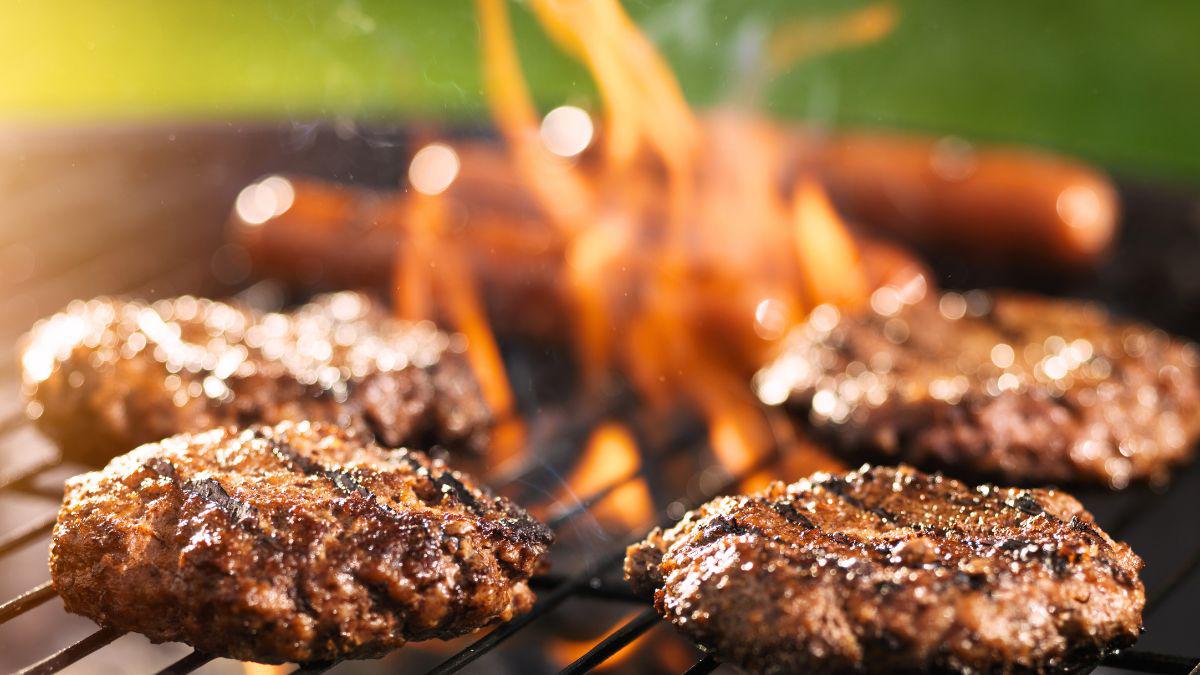 BBQ or Bye-Bye BBQ? The Alpha-Gal Dilemma