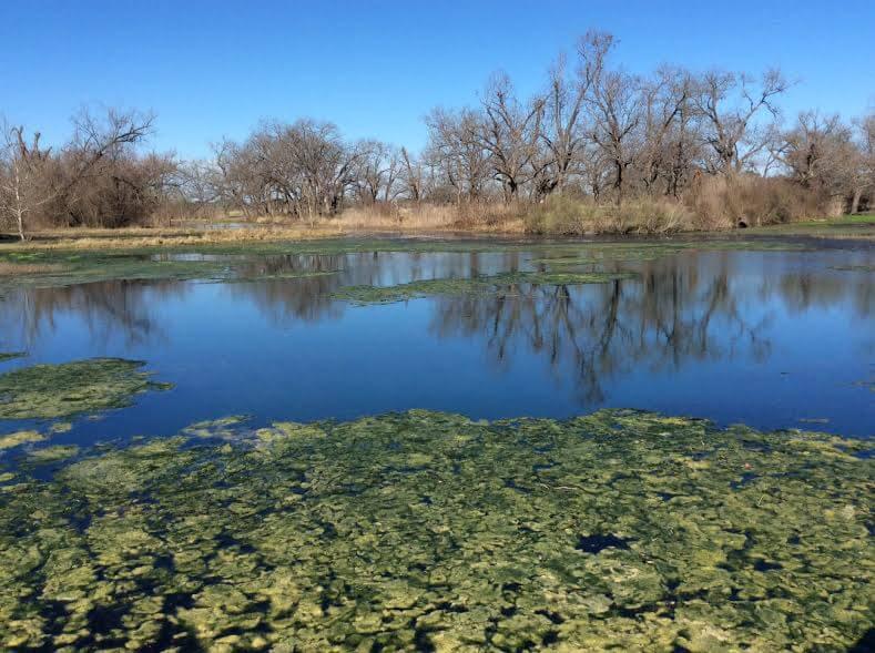 Berry Springs Park