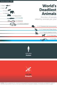 worlds deadliest info graph 