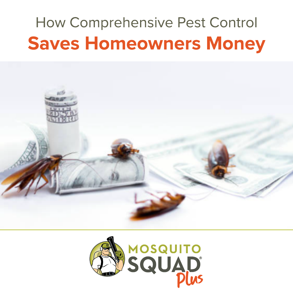 Why Comprehensive Pest Control Saves Homeowners Money