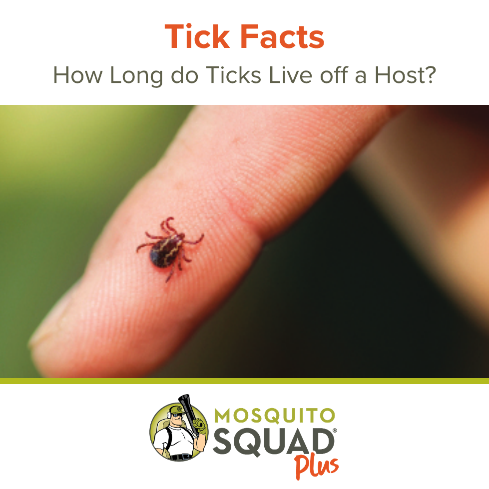 How Long Do Ticks Live Off A Host: Survival Facts