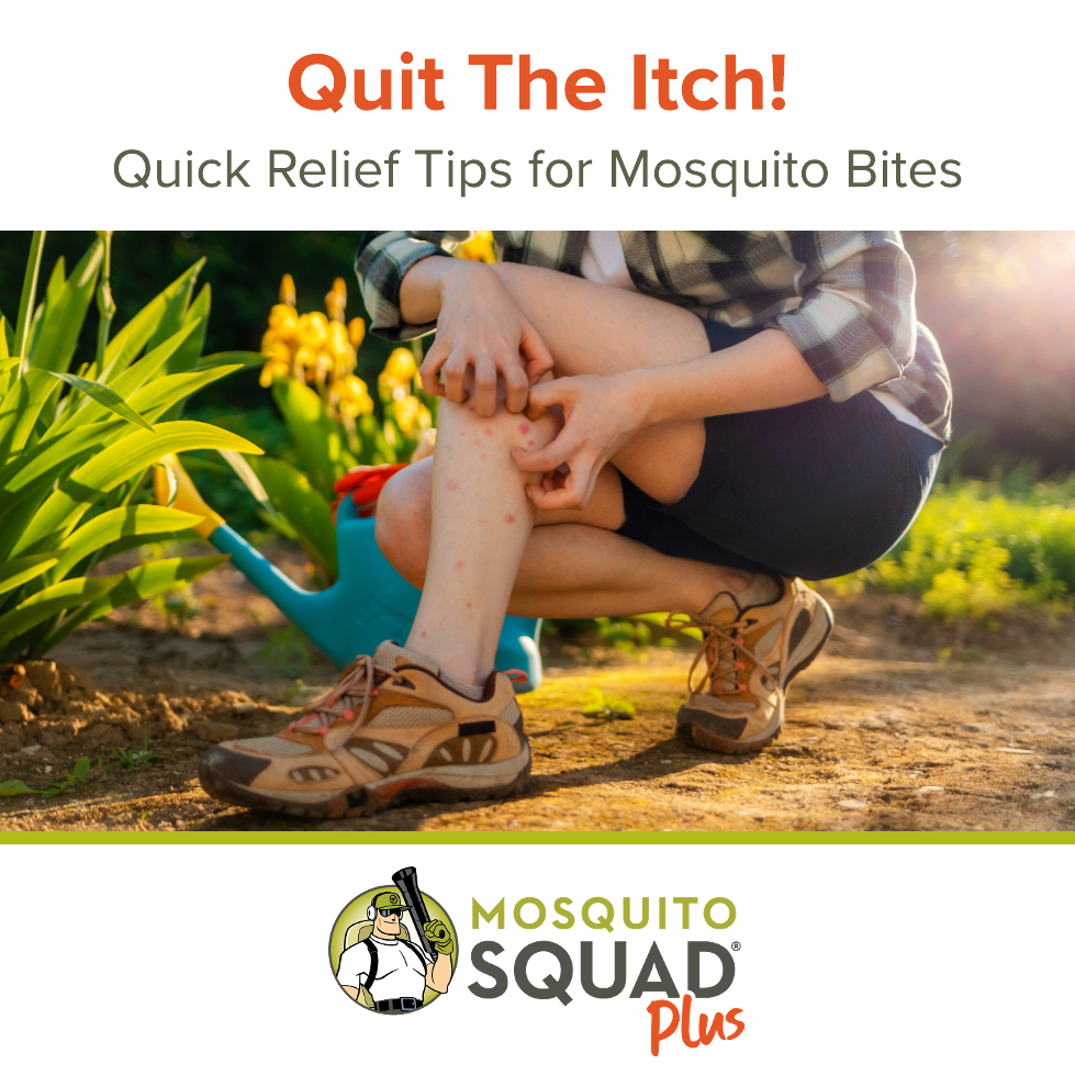 How To Stop Mosquito Bites From Itching: Quick Relief Tips