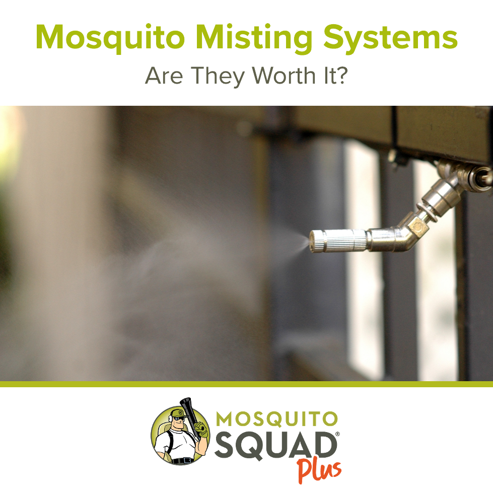 Mosquito Misting Systems: Are They Worth It?
