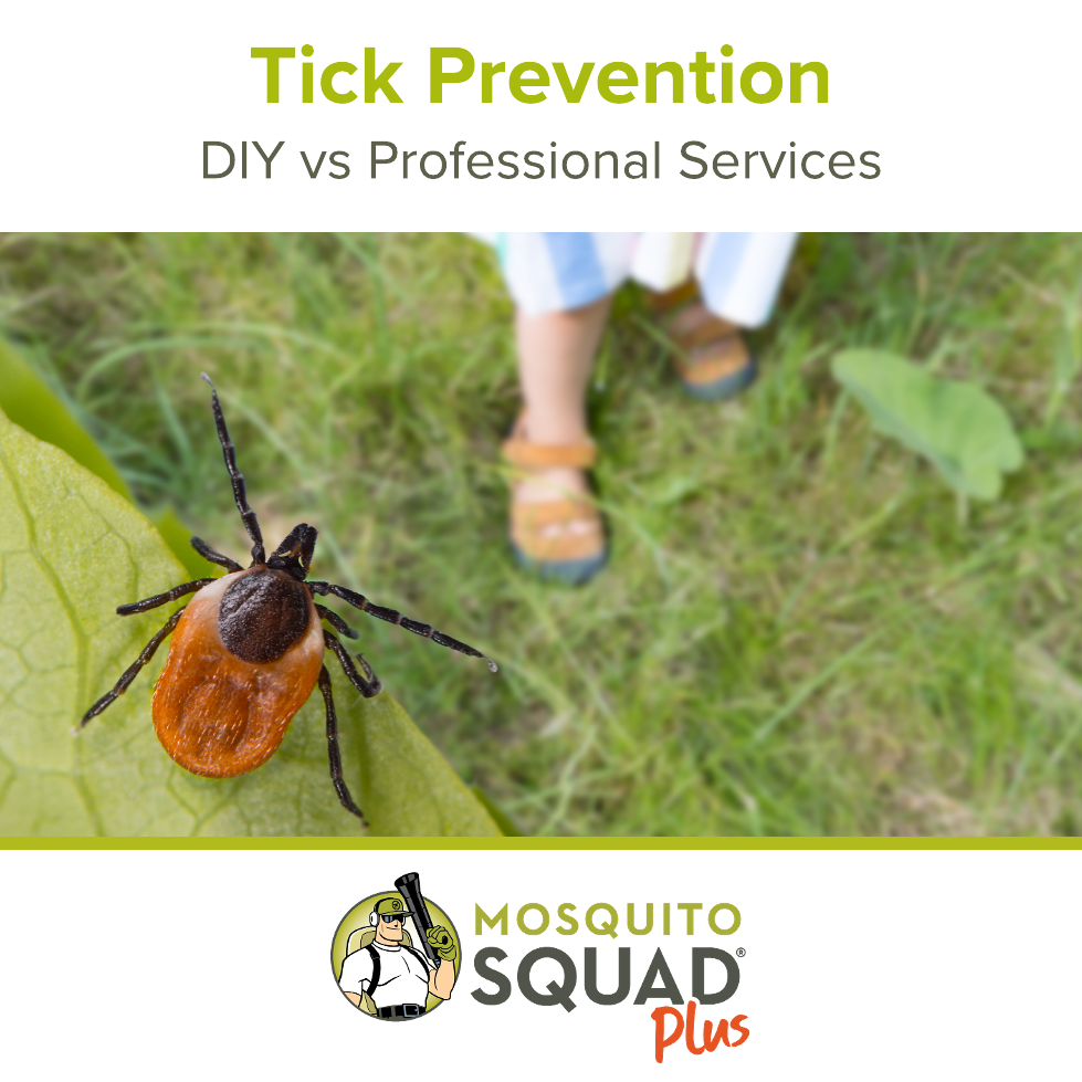 DIY Tick Prevention vs Professional Services