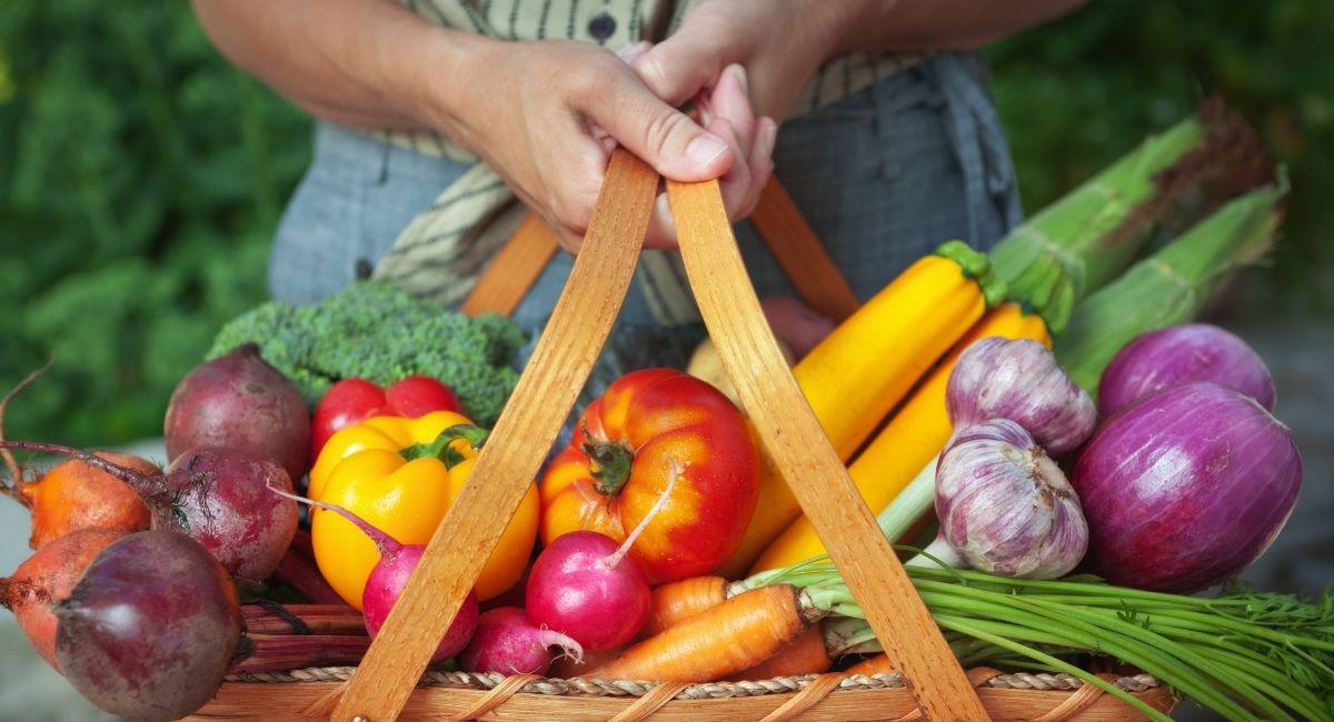 Want to Keep Pests Out of Your Garden? Here’s How!