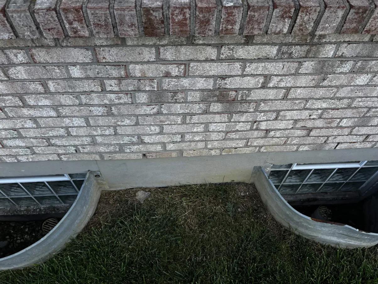 Boxelder Bugs Now, Stink Bugs Next: What Your South Wall Is Telling You This Fall