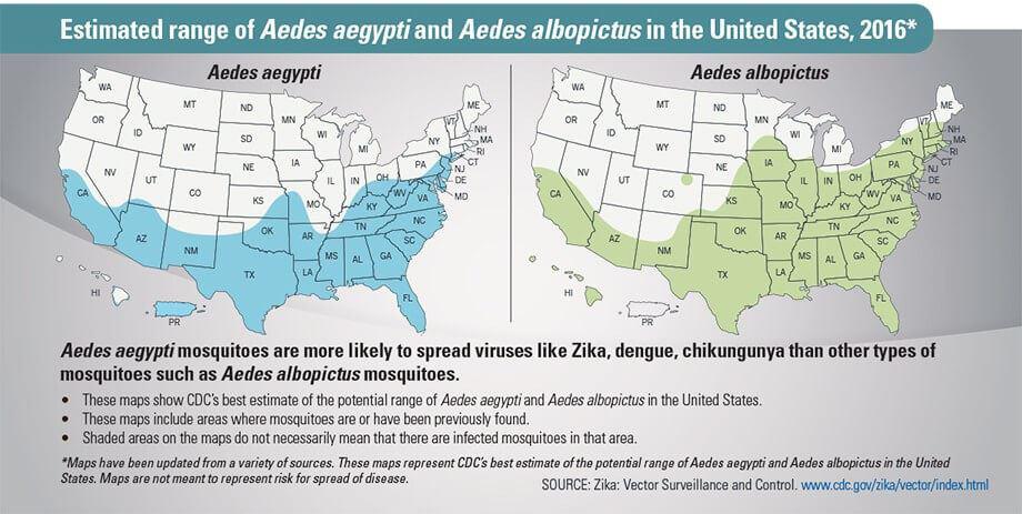 Researchers Confirm Zika Virus Causes Microcephaly & Other Zika News