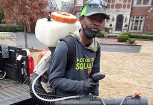 Chelsea Is Growing Fast and Mosquitoes Love That