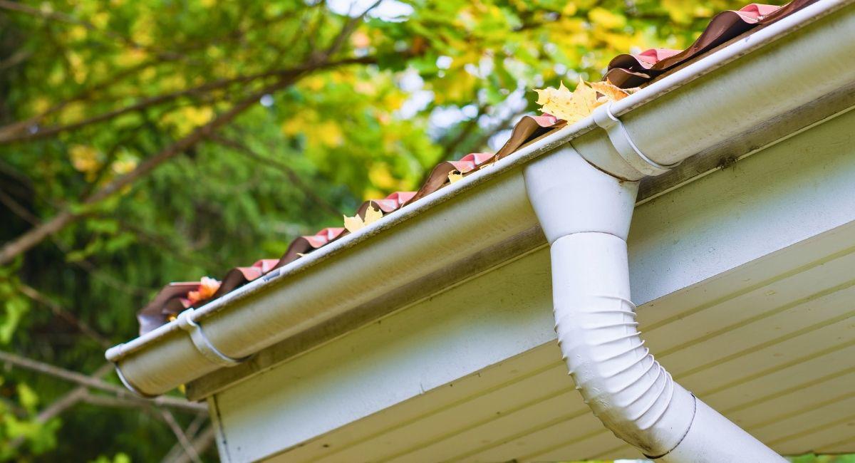 Are Your Gutters Mosquito Nurseries?