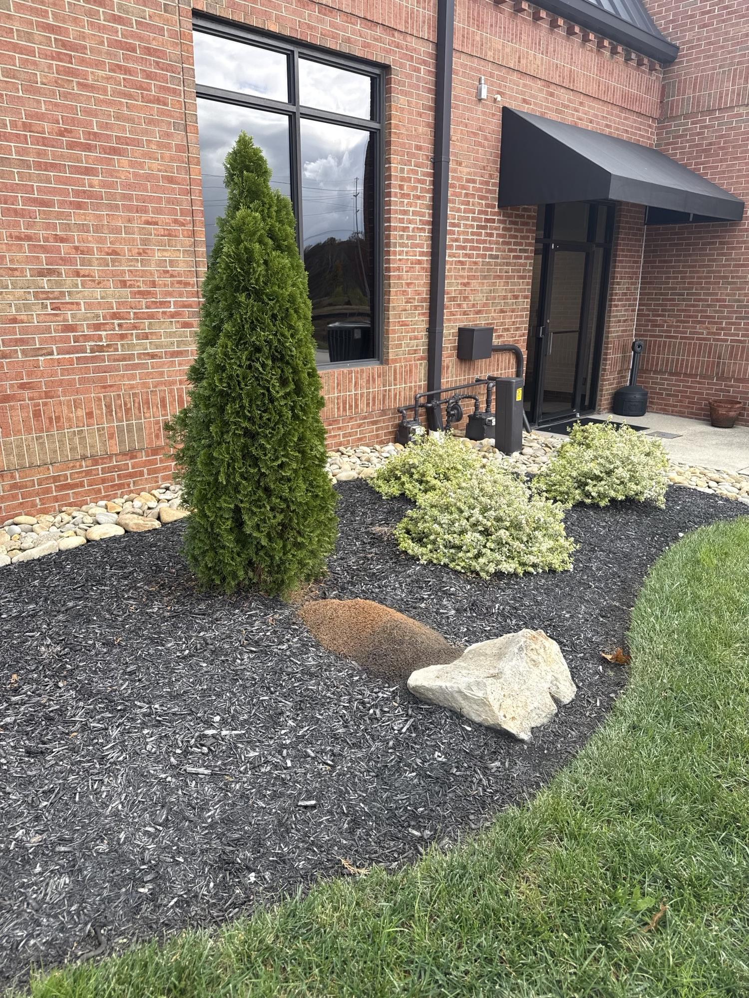 What to Look for in Commercial Pest Control in Knoxville, From Cadence to Licensing