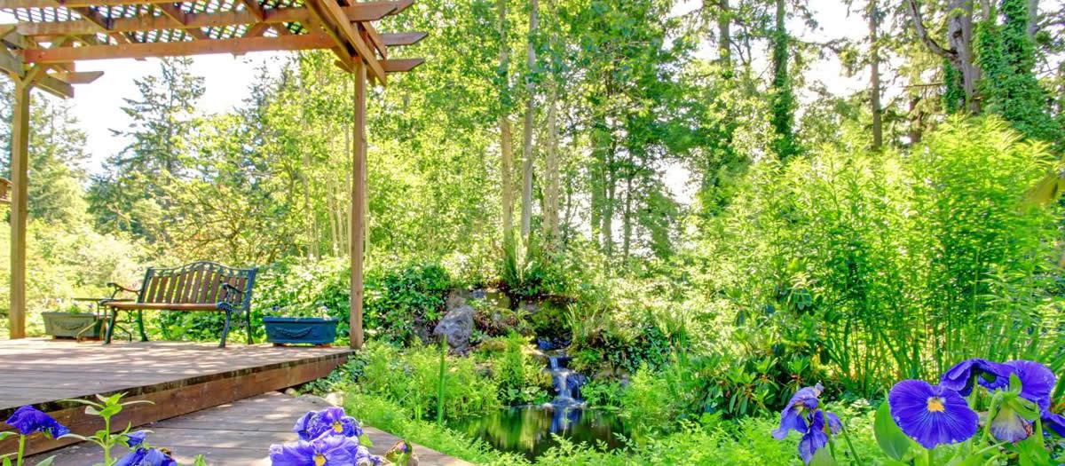 How to Control Backyard Mosquitoes