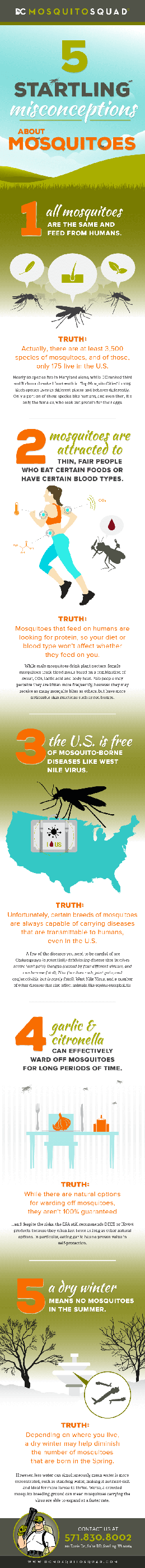 Infographic: 5 Startling Misconceptions About Mosquitoes