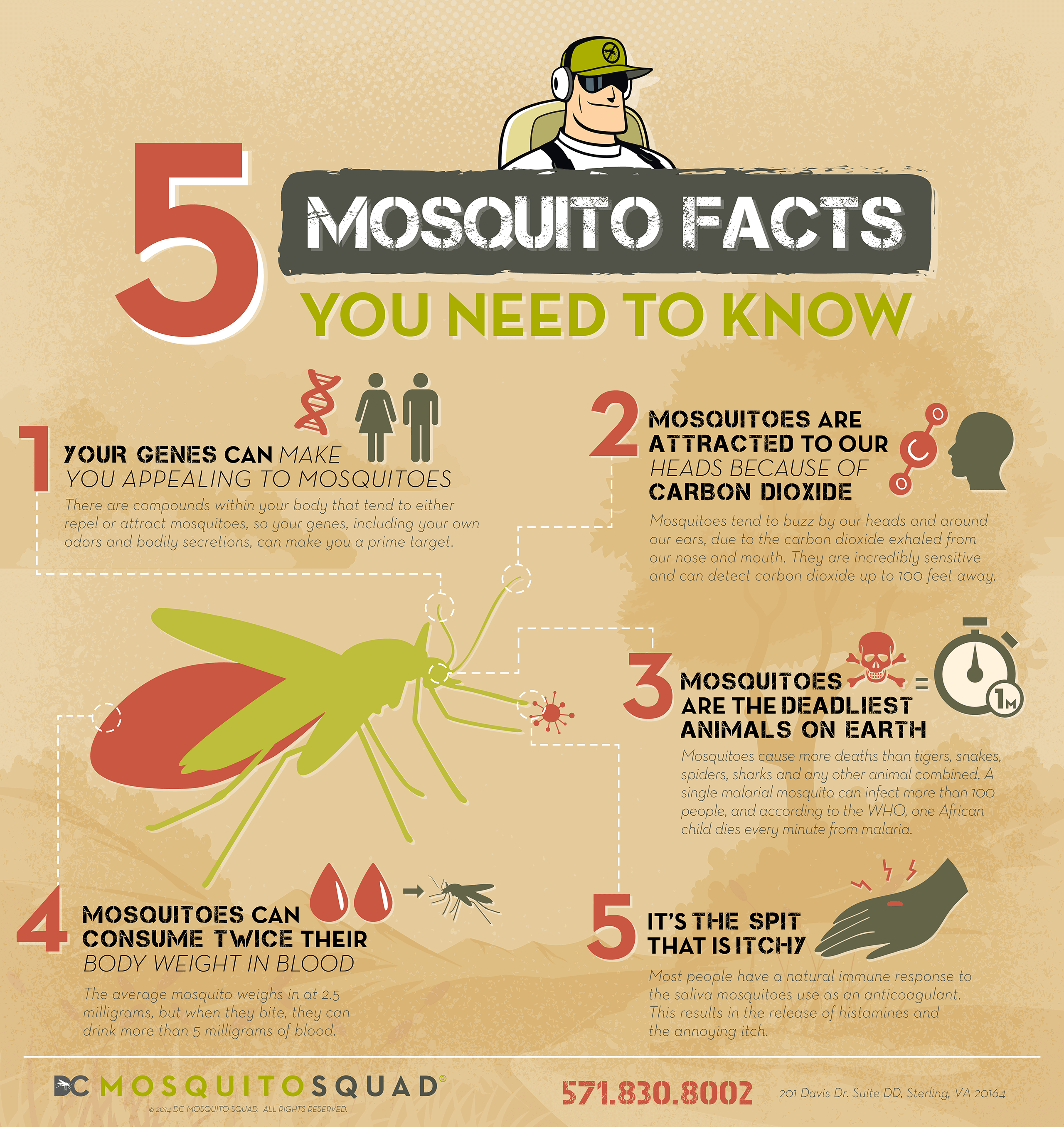 5 Mosquito Facts You Need to Know