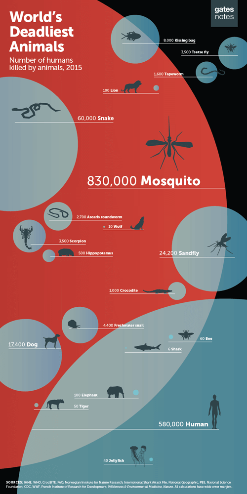 The World’s Most Deadly Animal May Not Be What You Think