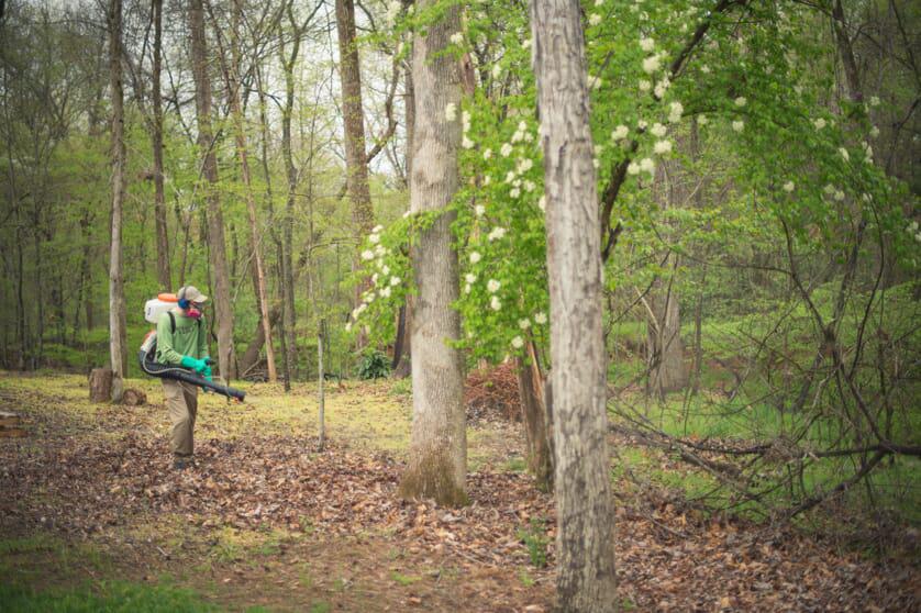 technician spraying wooded area