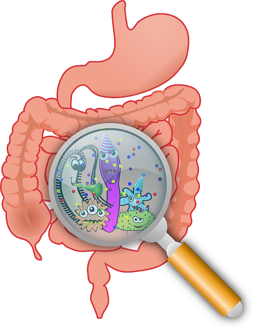 The Microbiome of the Digestive System