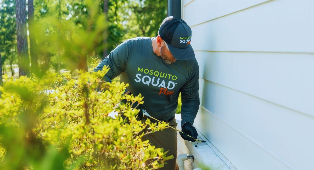 How Do I Know If I Need Home Shield Pest Control?