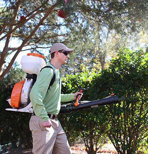 Man Spraying Mosquito Control Barrier Protection  