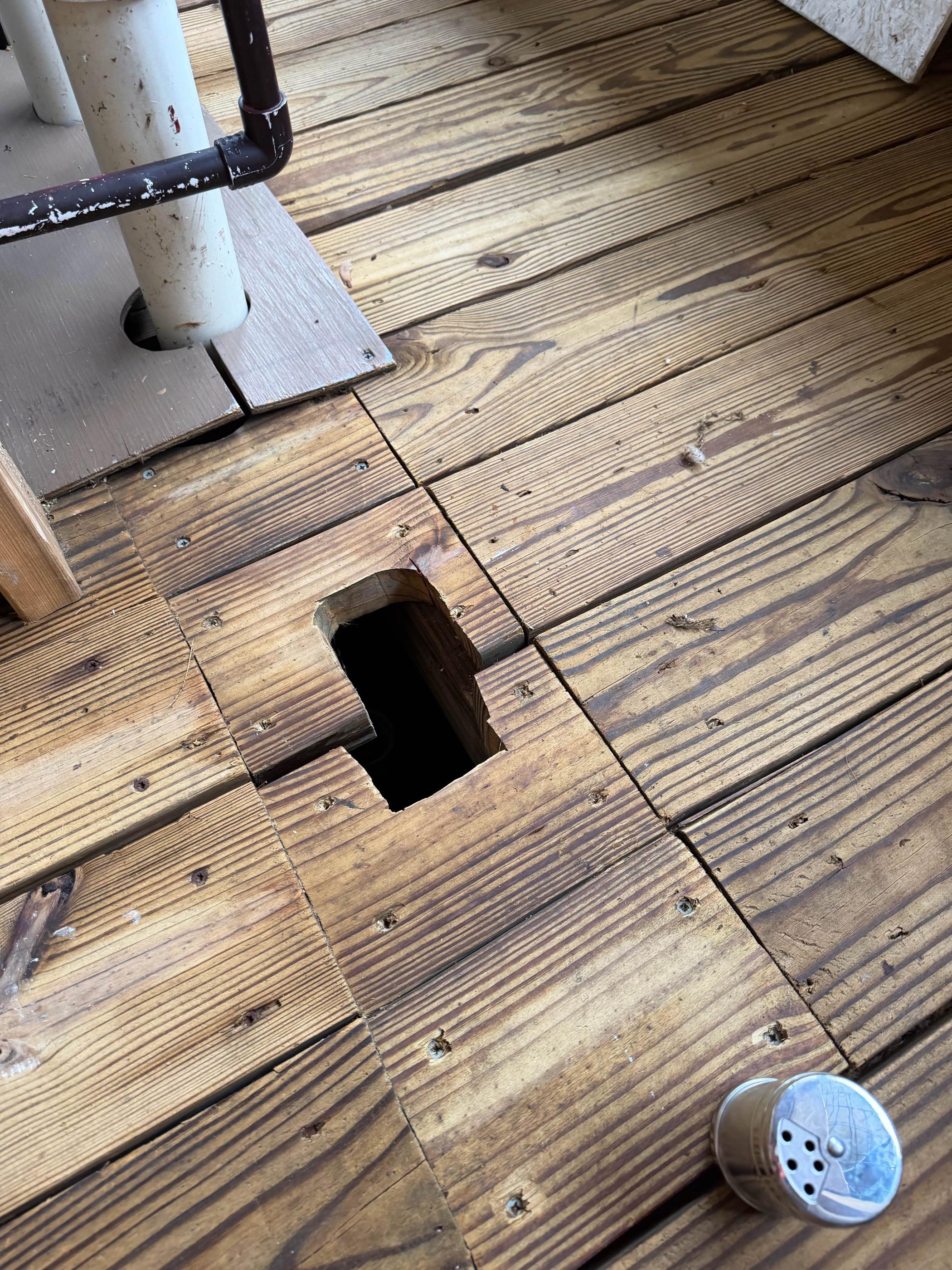 Fall Invaders and Rodents Push Into Northern Kentucky Homes as the Nights Cool