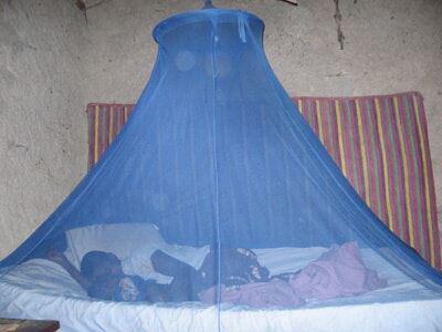 A mosquito net