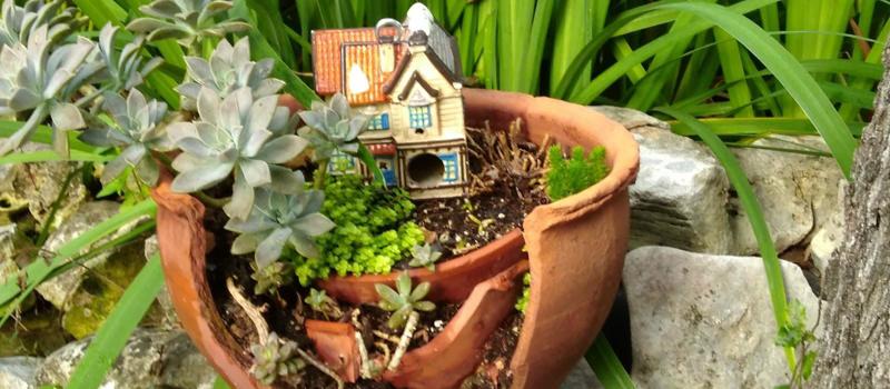 Fairy Gardens