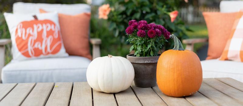 Can Your Fall Décor Attract Pests to Your Front Door?