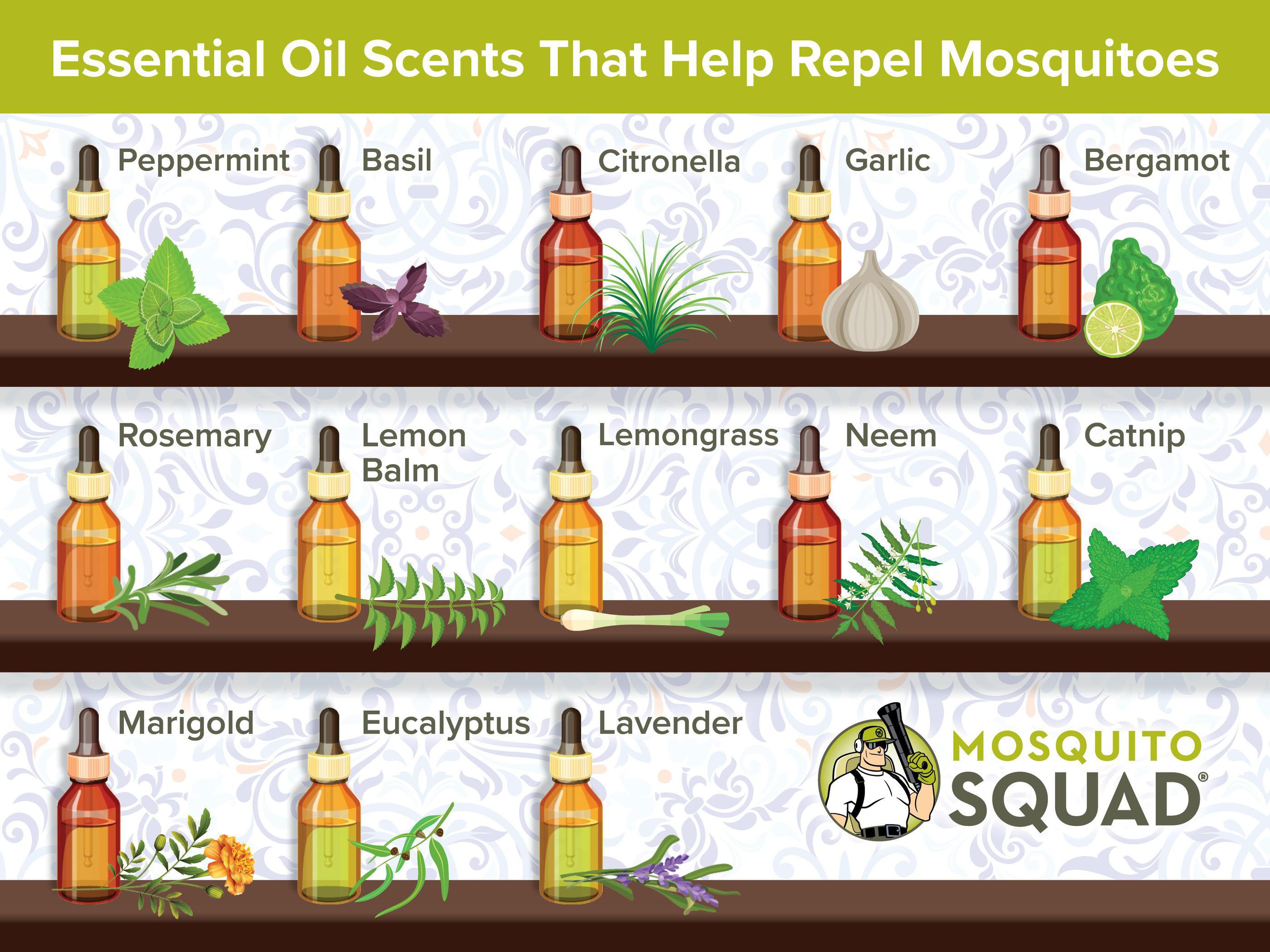 Essential oil that repels mosquitoes deals