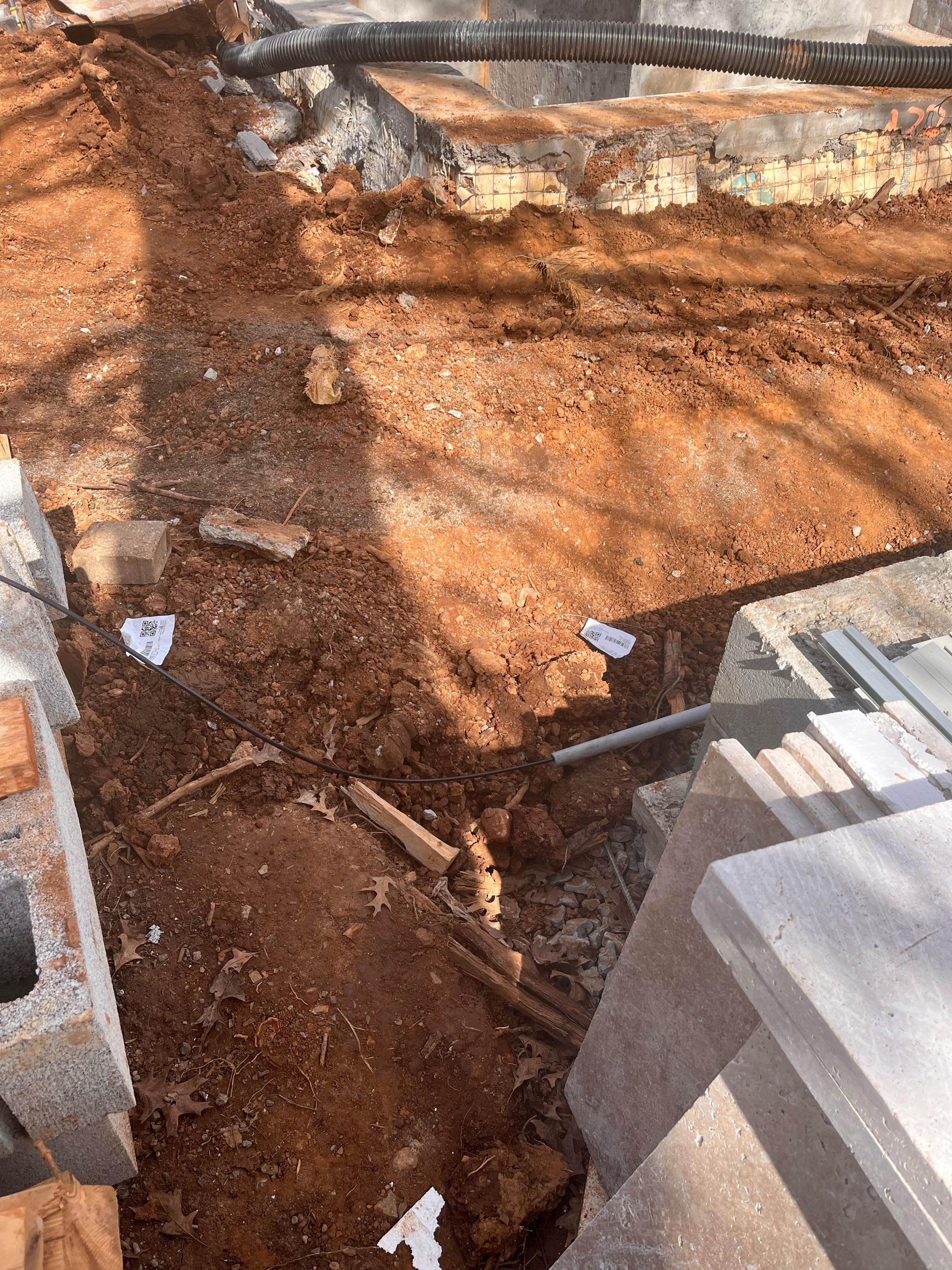 What Every Hoover Homeowner Should Know About Fire Ants in a New-Build Yard