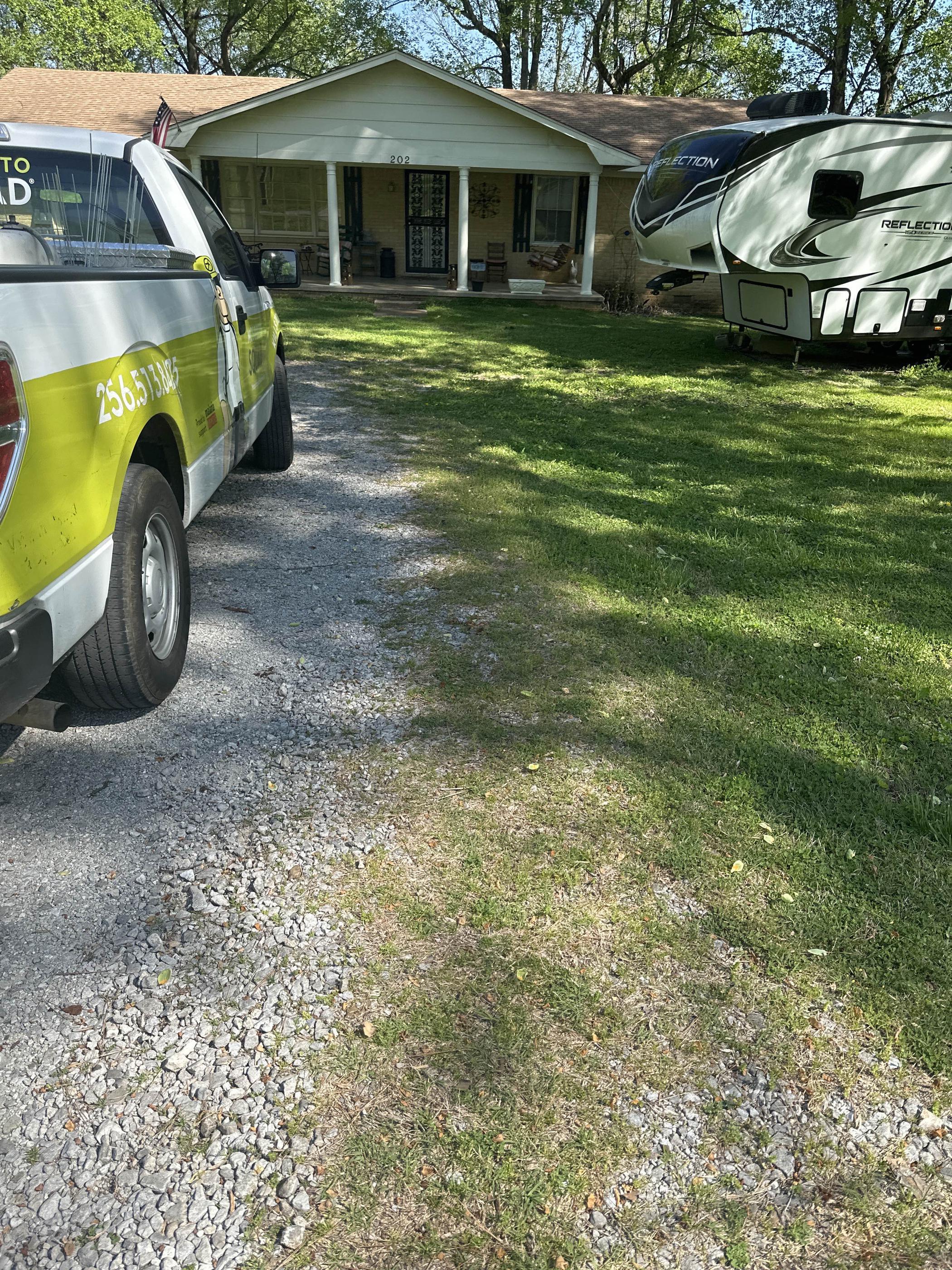 The Four Places Fleas Can Survive in a Huntsville Yard