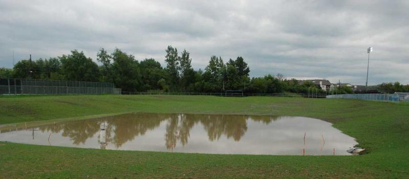 Floodwater Mosquitoes