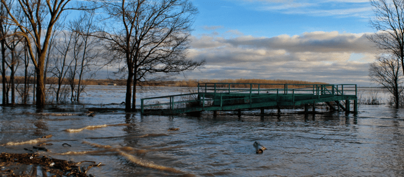 Wondering What to Expect If Spring Flooding Predictions are Correct? Mosquitoes. You Should Expect Mosquitoes