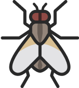 Fly icon