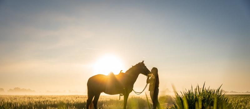 What You Need to Know About Equine Encephalitis