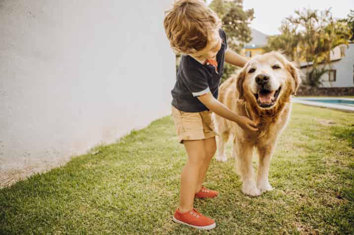 child with dog