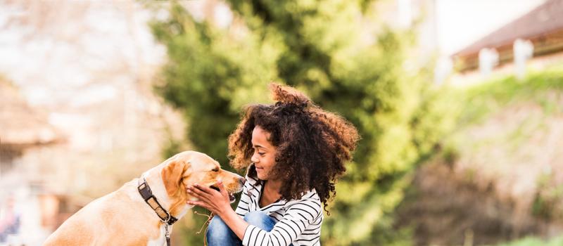 Blood Sucking Insects Can Cause Disease in Pets